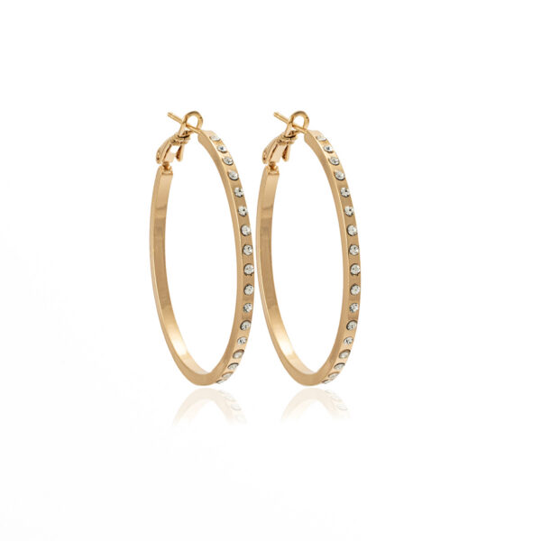 Golden Sparkle Hoops