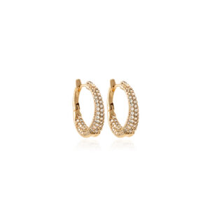 Golden Luxe Hoops